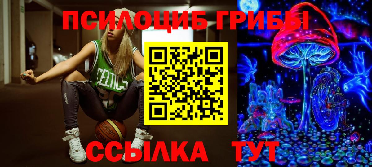 Галлюциногенные грибы Cubensis Тосно