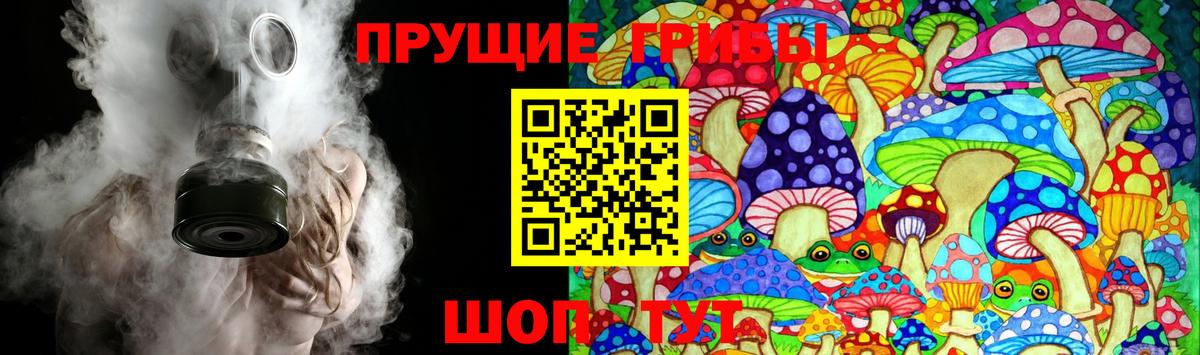 Галлюциногенные грибы ЛСД  Вход с VPN  наркота  Тосно 